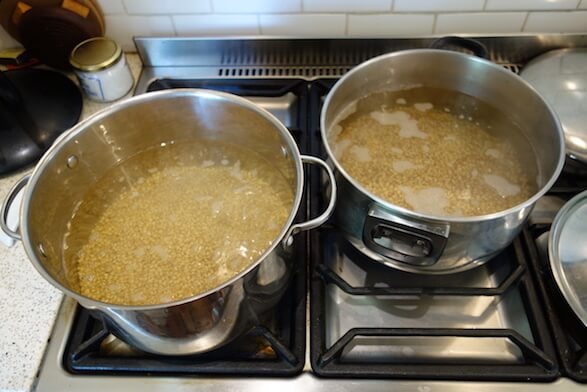 Boiling grain for spawn