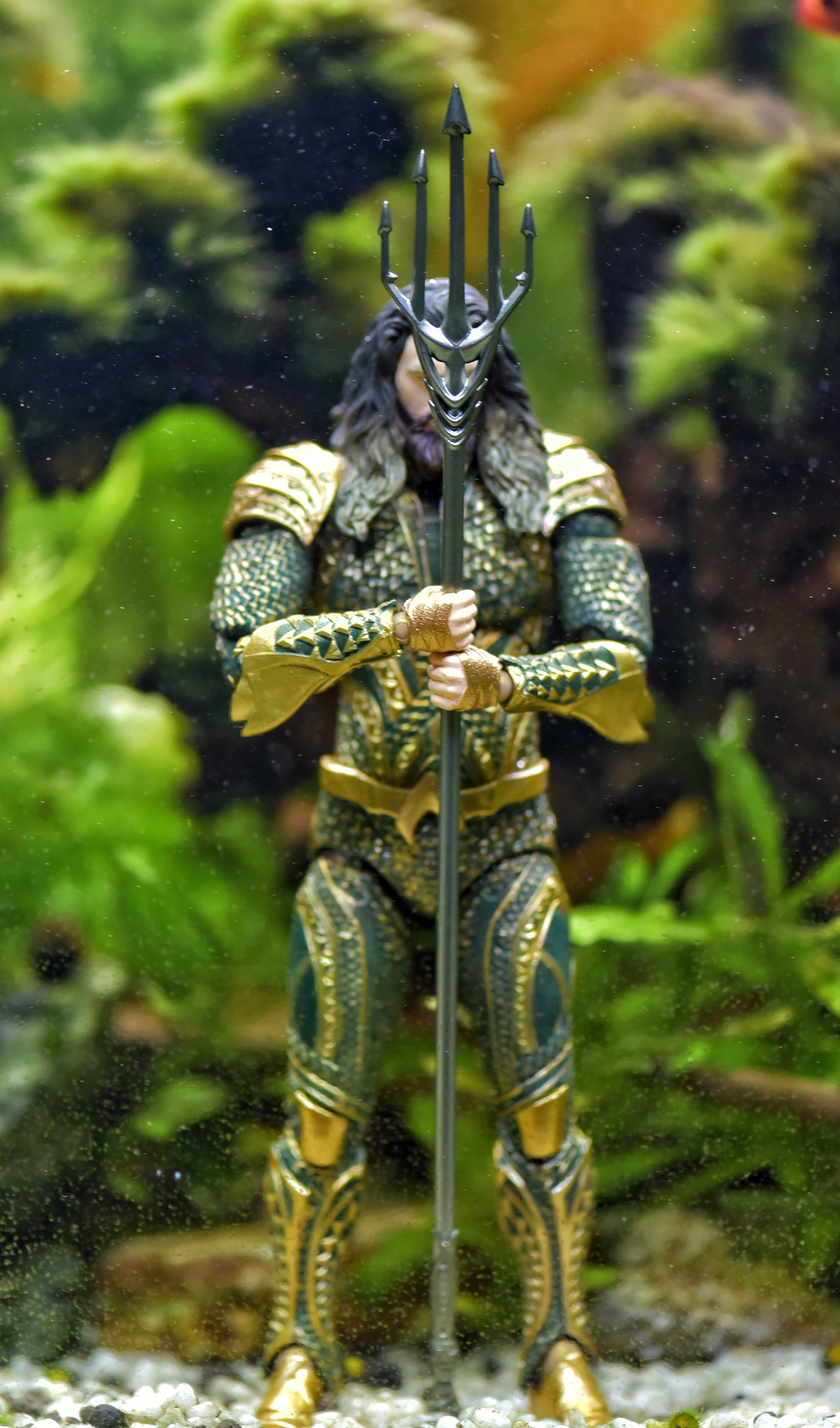 Aquaman In Fish Tank