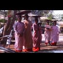 Burma Nuns 16