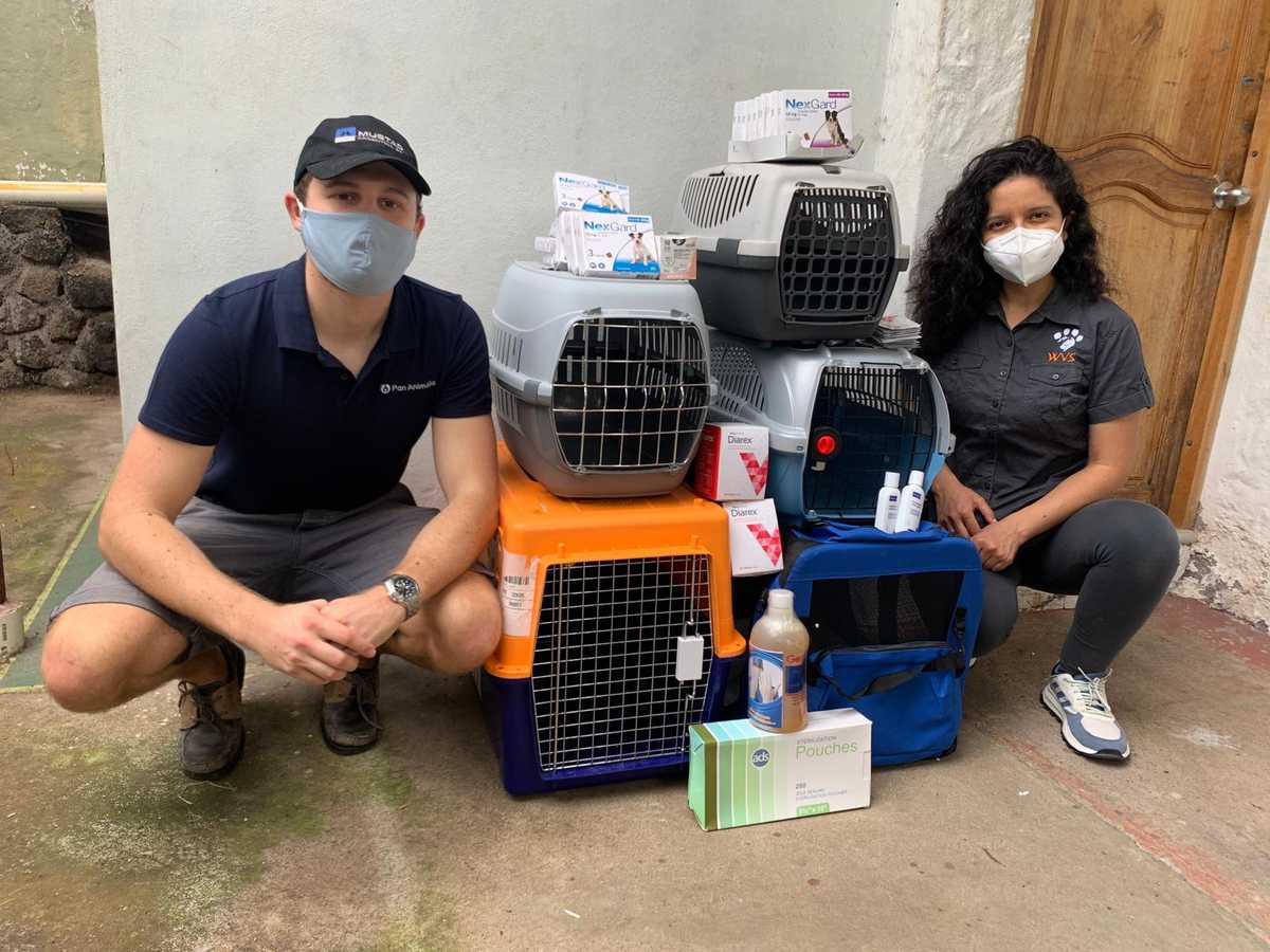 Donate Unused Pet Medication // WVS