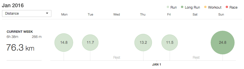 Week in Review: 28 Dec - 3 Jan '16