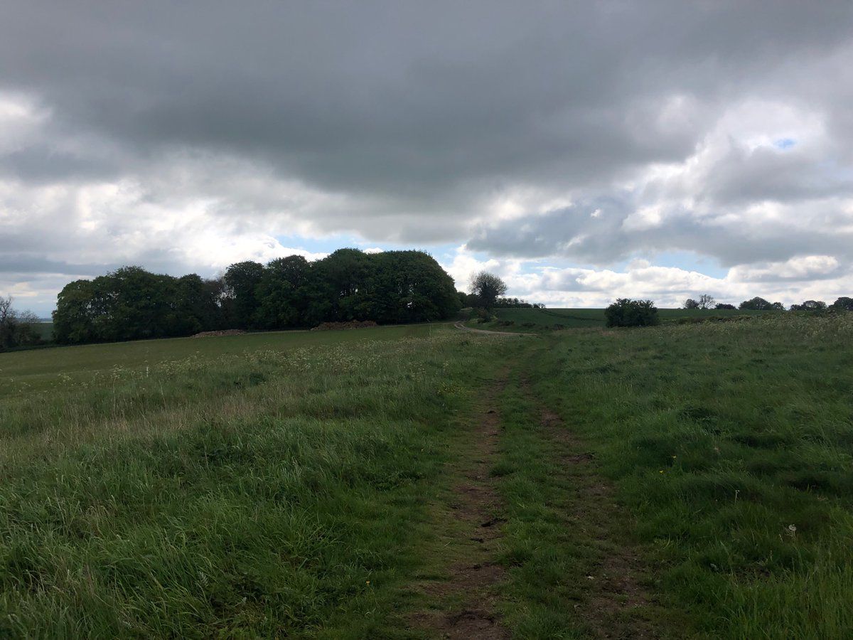 oh my god twitter doesn’t include alt text from images in their API