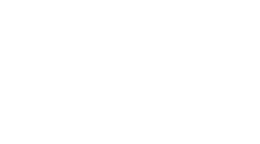 EverWash Logo