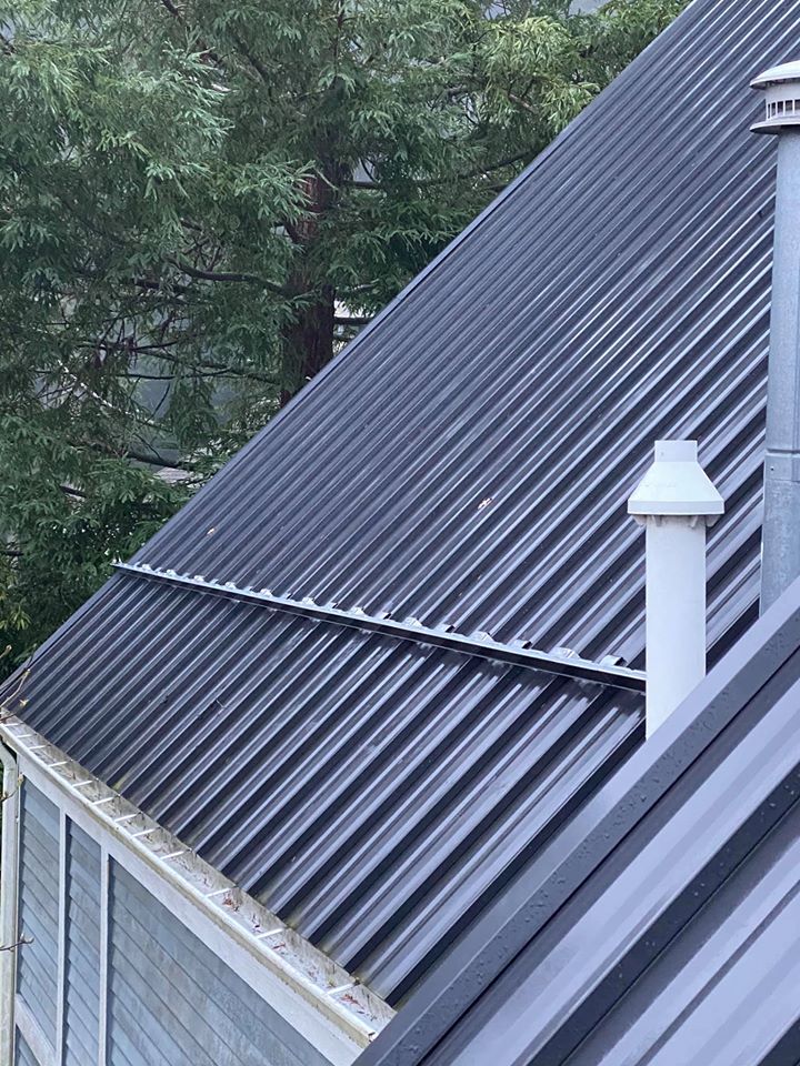 gutter guards for snow