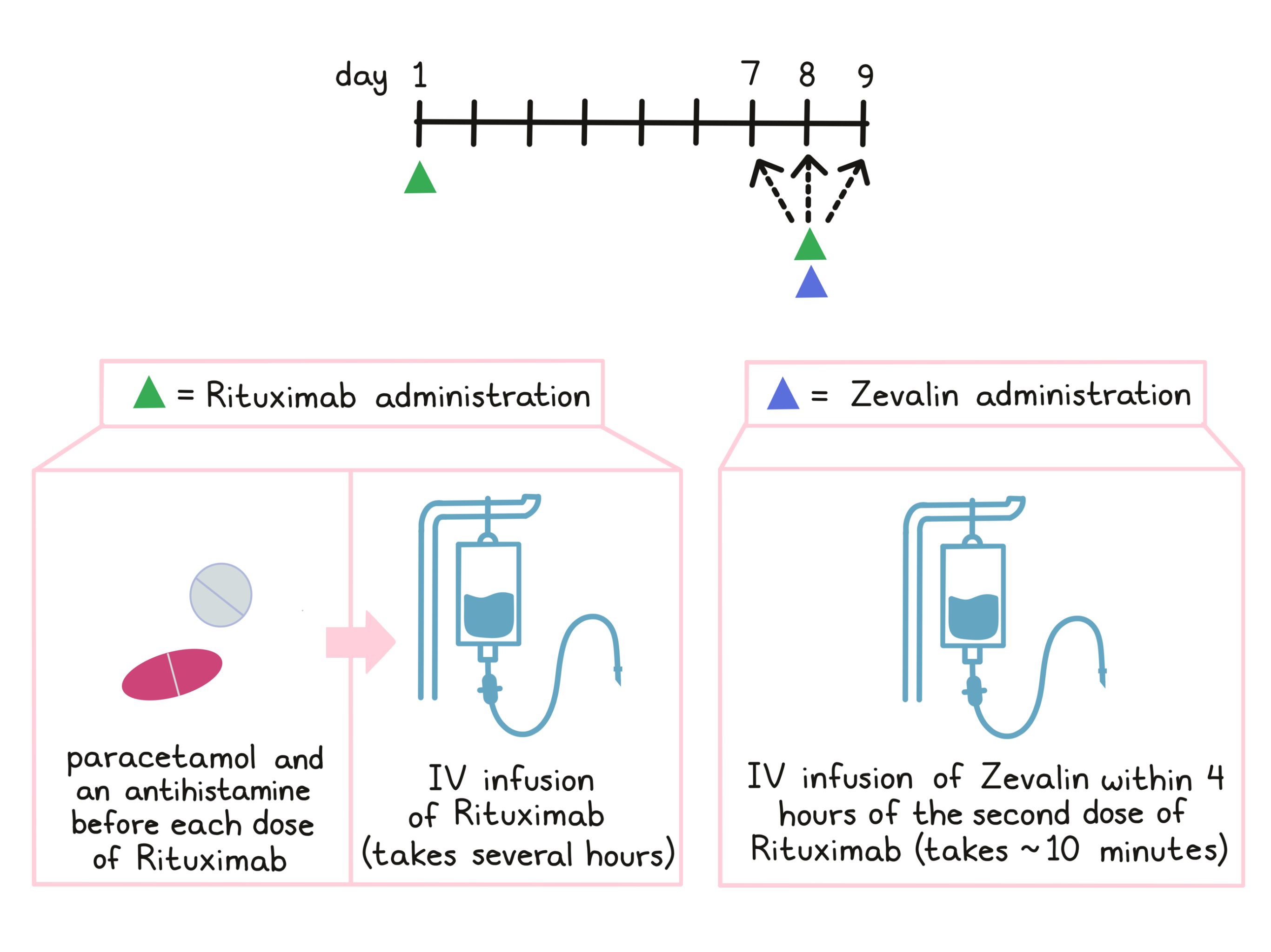 Illustration showing how Zevalin is administered 