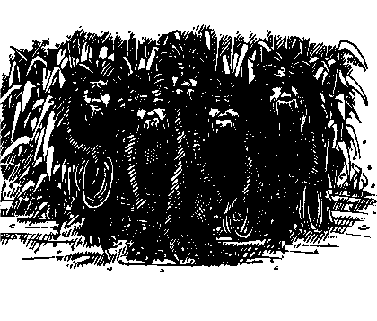 A group of Archpods with nets.