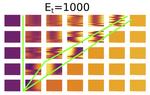 Rac-Rho-ECM Spatial Model with Catch-Slip Bond Integrin Biophysics