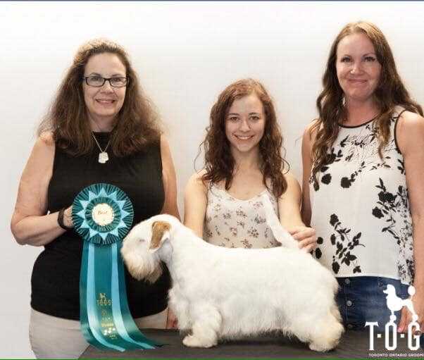 Dog grooming team with award ribbon and Sealyham Terrier