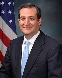 senator Ted Cruz