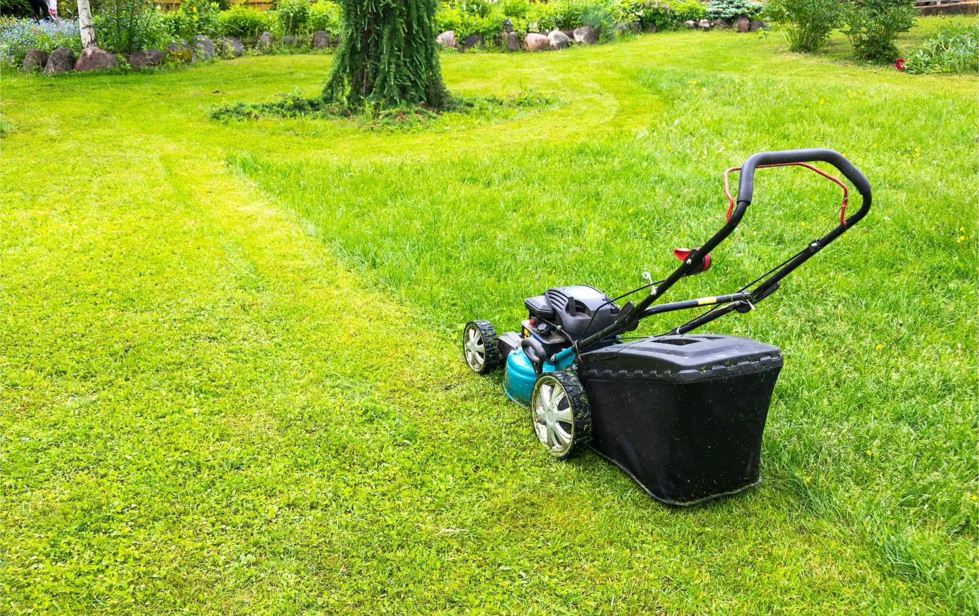 Best time to buy lawn mowers