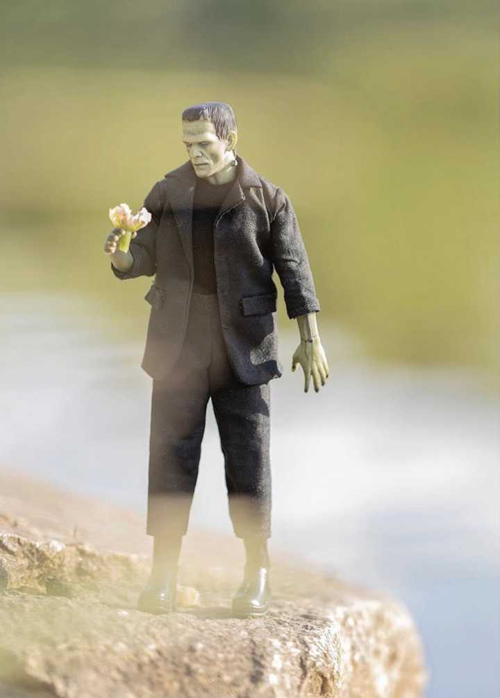 Six Inch Figure Collections Weekly Update 3