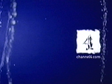 Channel 4 'Water' ident, 2002