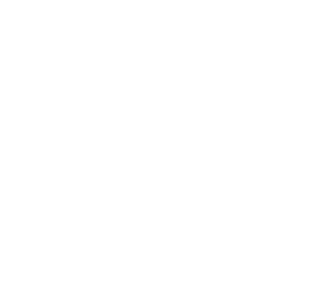 prostate-gland