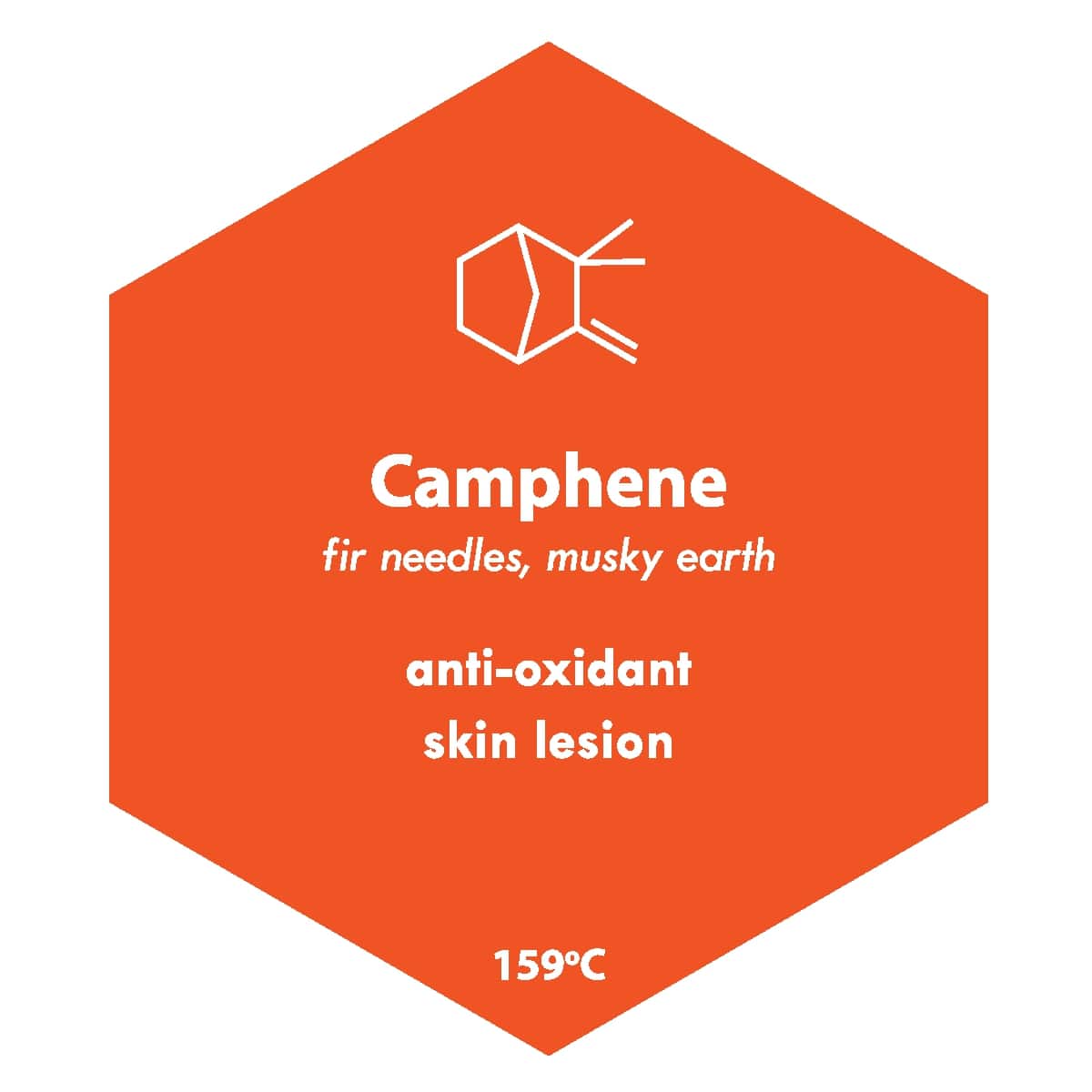 Cannabis Terpene: Camphene