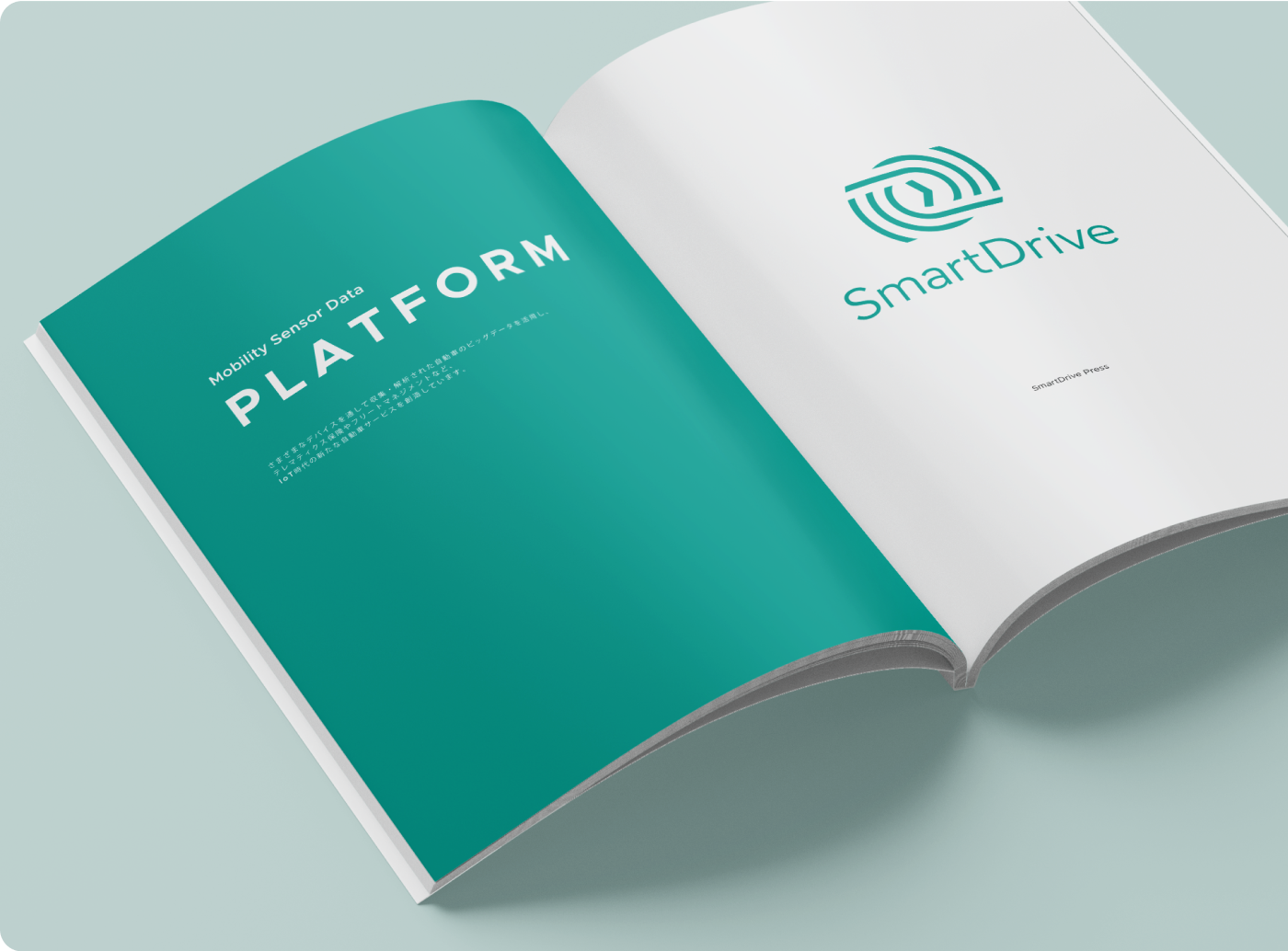 SmartDrive Cars