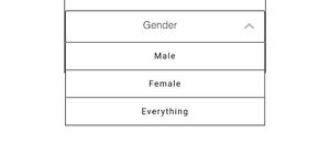 A screenshot of a dropdown menu titled &quot;Gender&quot; with options for &quot;Male&quot;, &quot;Female&quot;, &quot;Everything&quot;