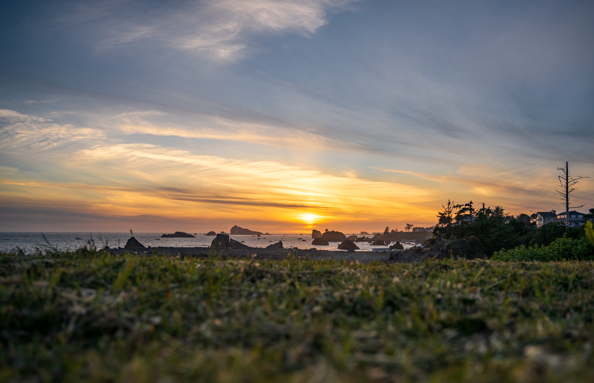 beach with grass