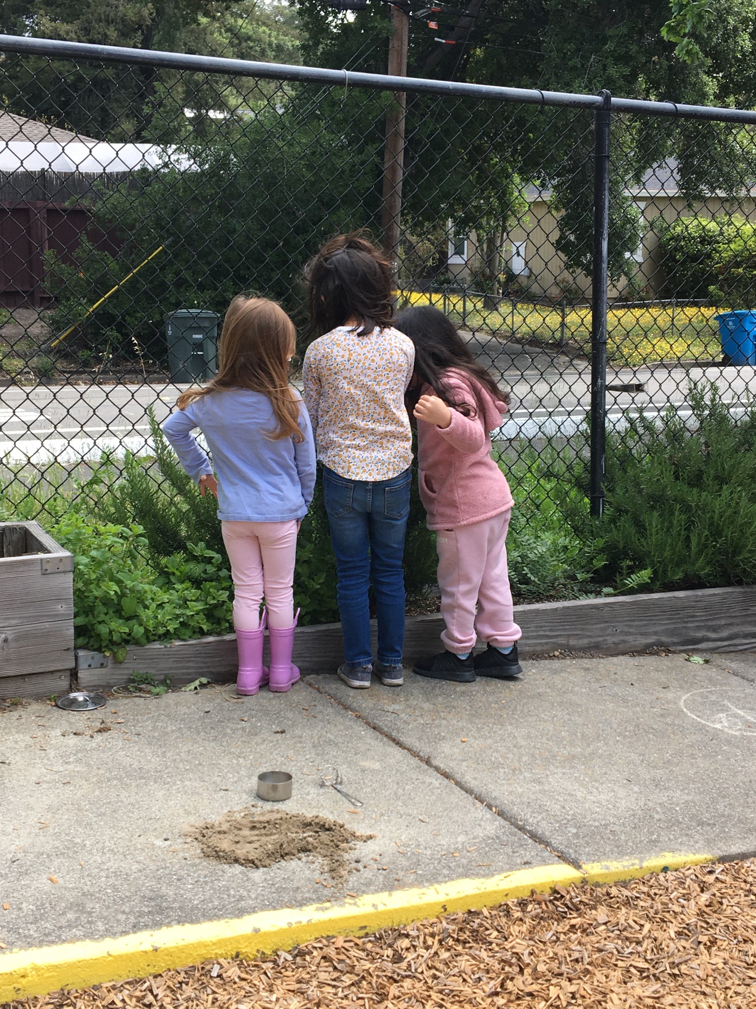 children at the playground