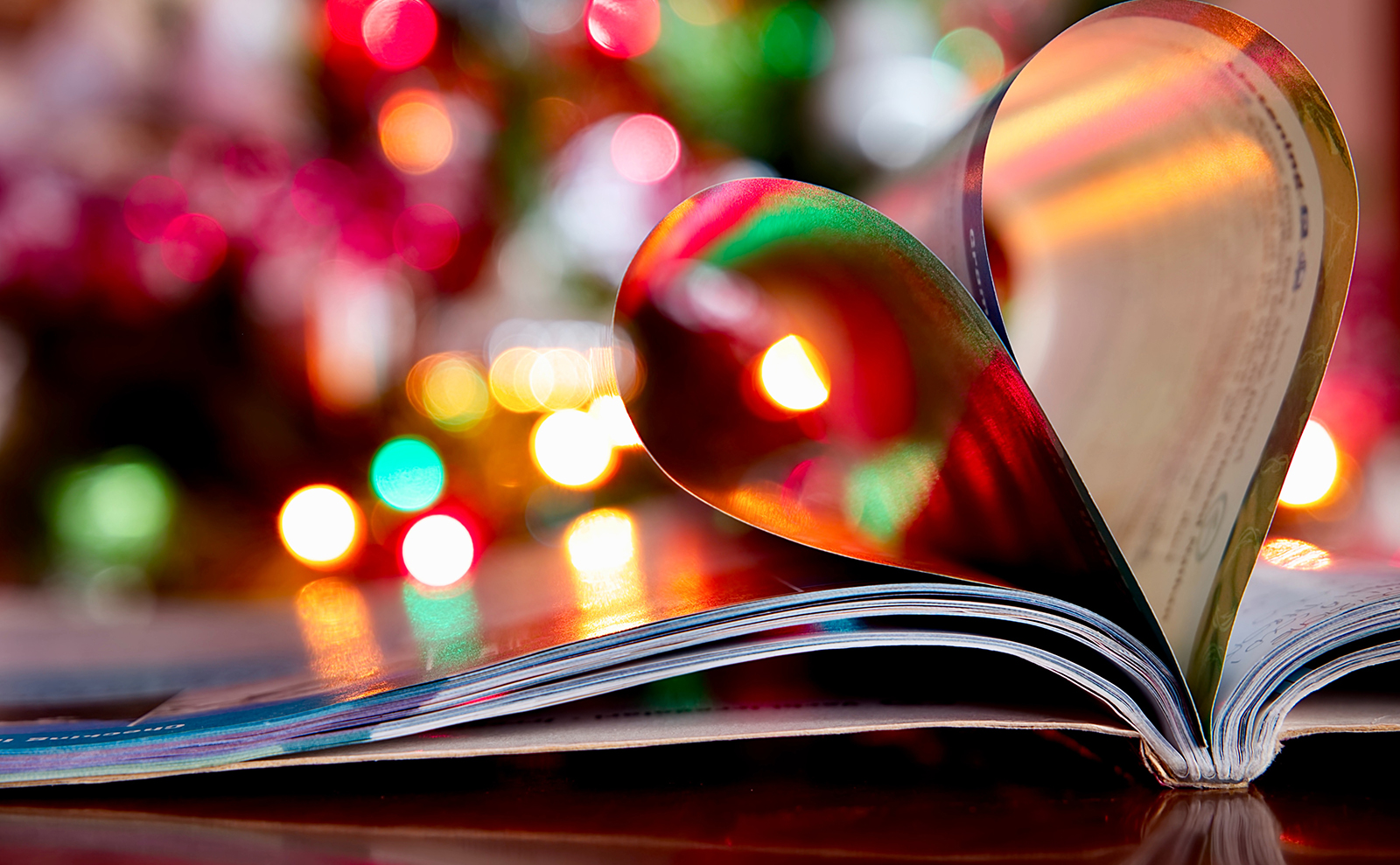 an open book with christmas lights