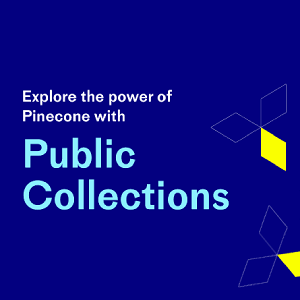 Explore the power of Pinecone with public collections