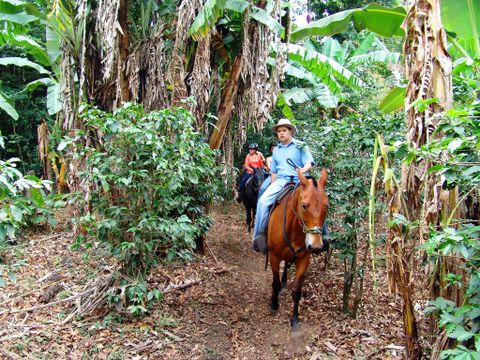 Adventure in Monteverde Costa Rica