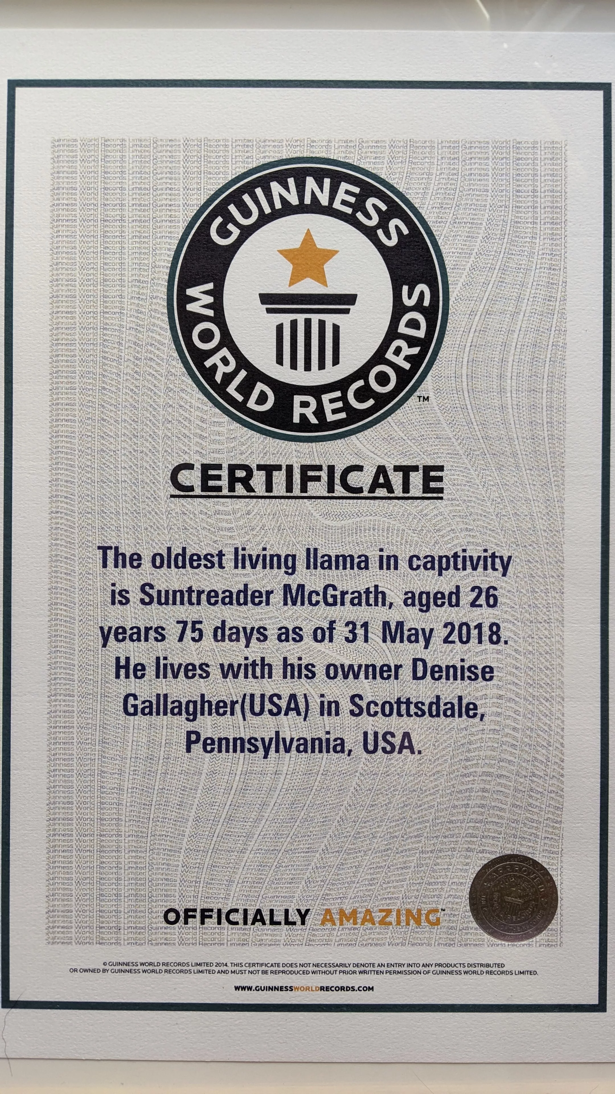 A photo of Suntreader's Guinness World Record Certificate