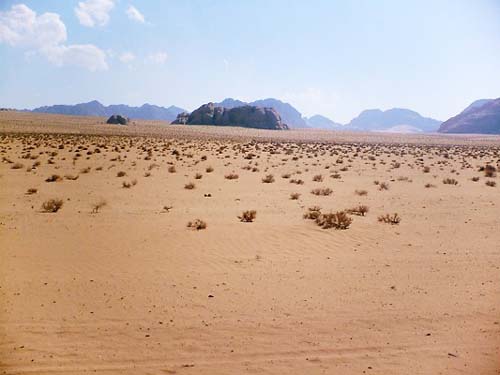 Wadi Rum 54