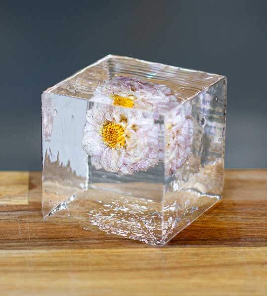 Block Ice botanical infused ice cube