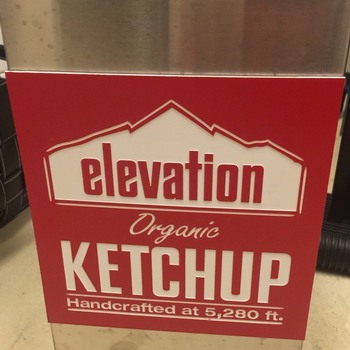 Picture of Elevation Ketchup project