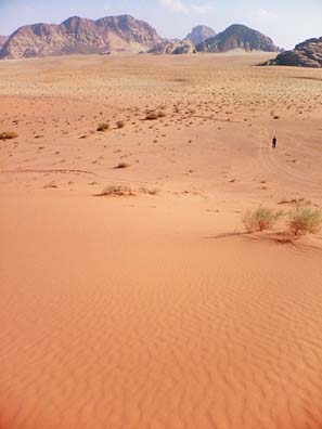 Wadi Rum 60