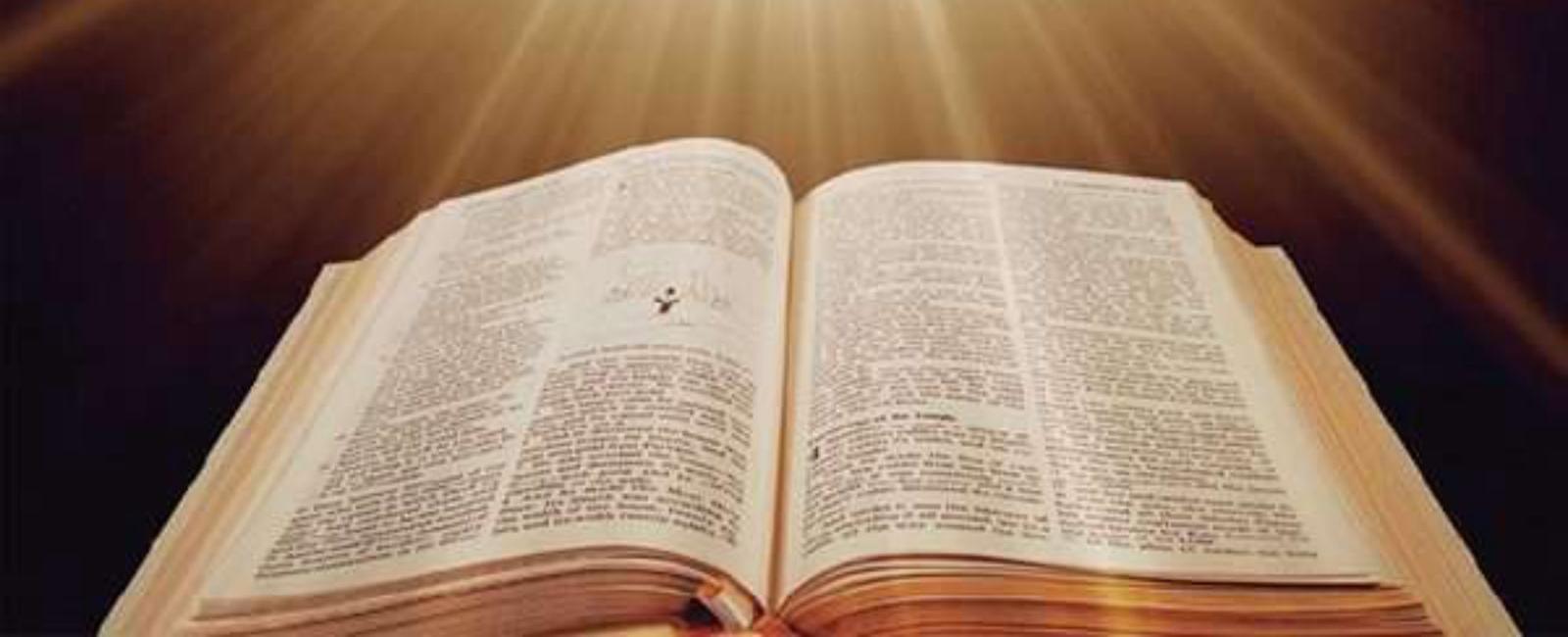 Curiozitati despre biblie