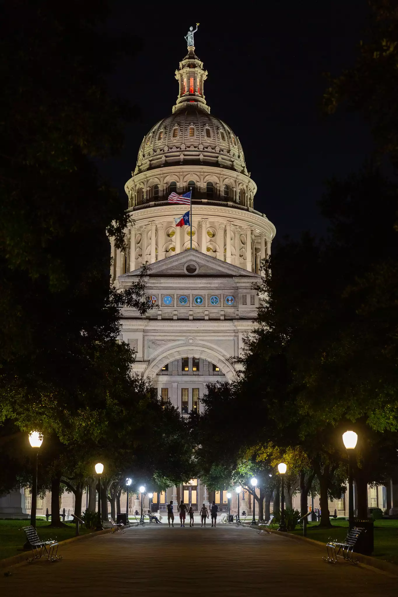Texas State Captiol at Night #1