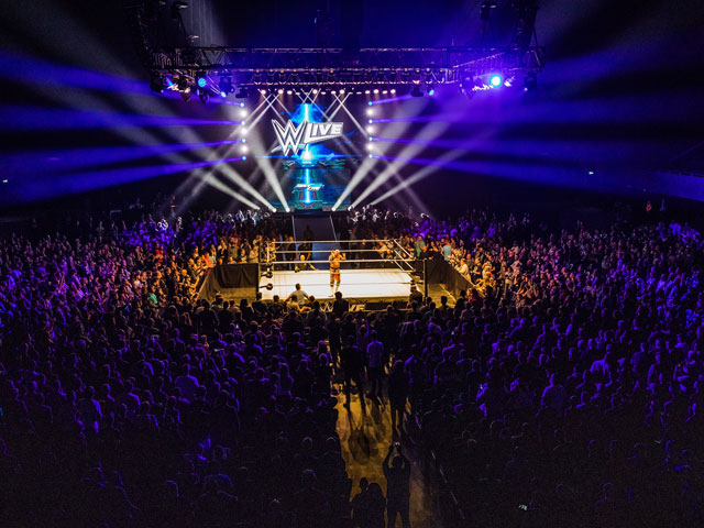 A view of the crowd and the wrestling ring at a WWE Live Event