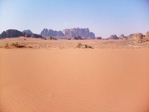 Wadi Rum 55