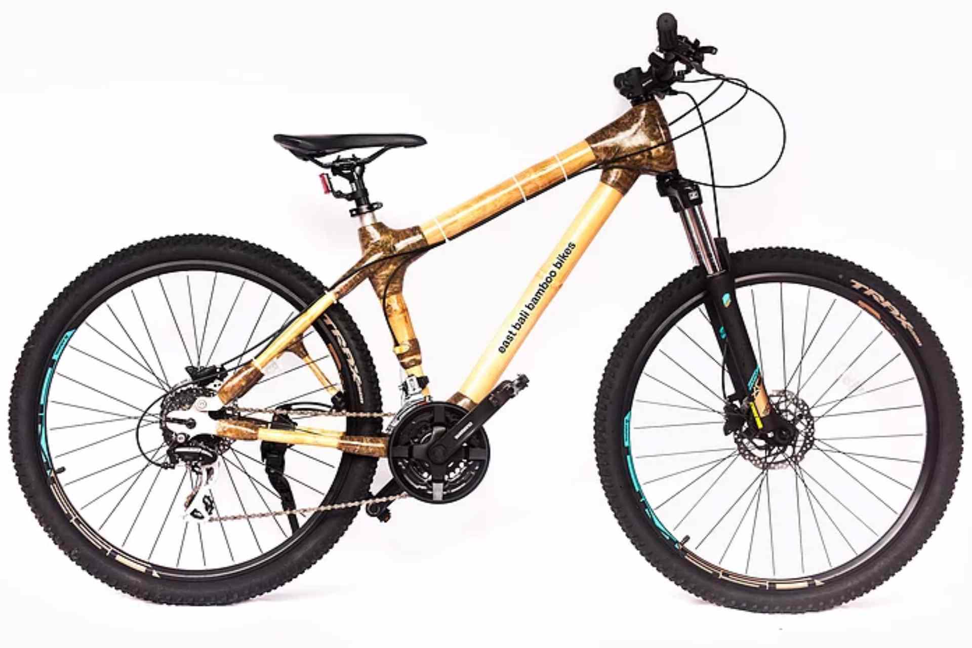 Mountain bamboo bike for women