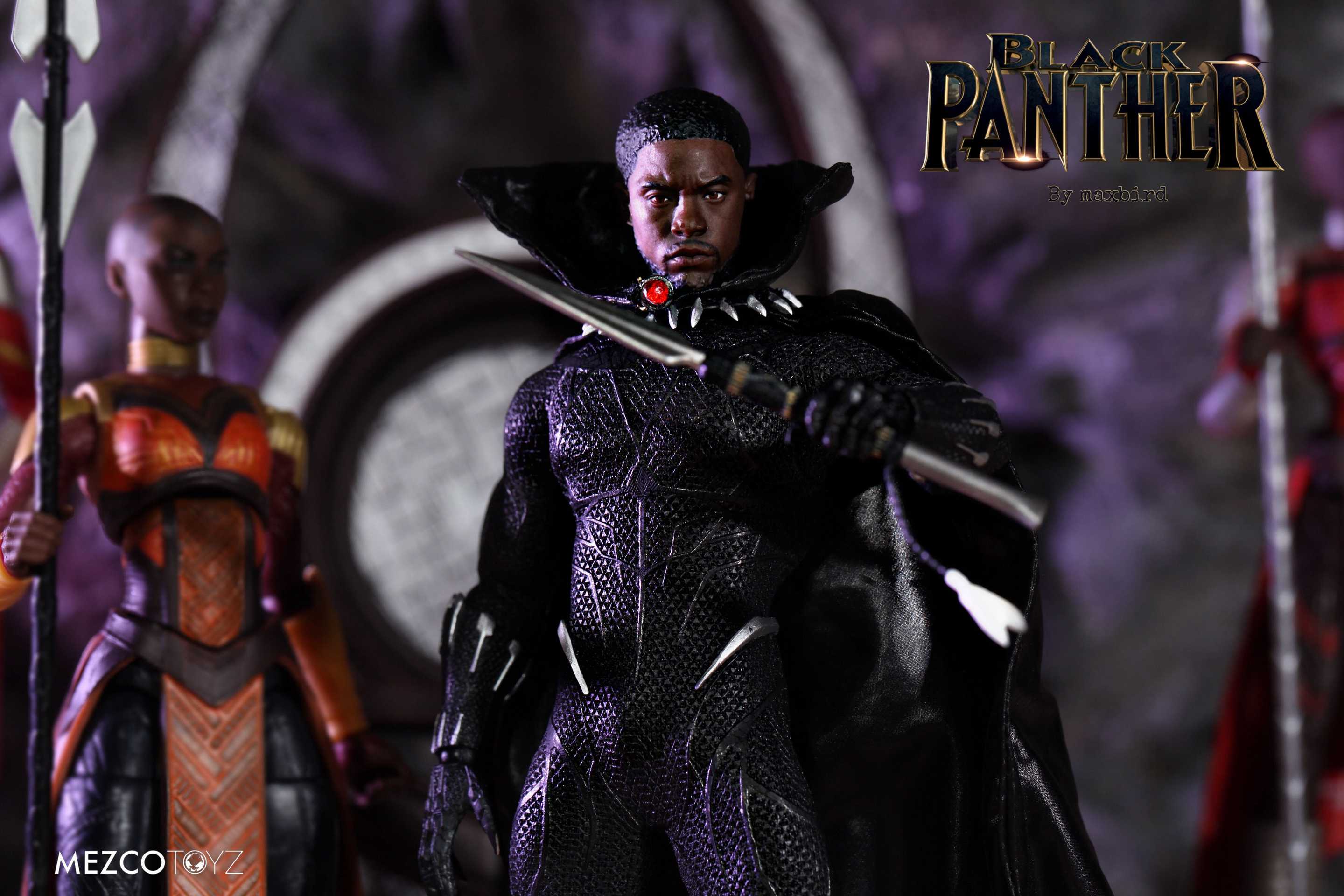 Black Panther With Cloak