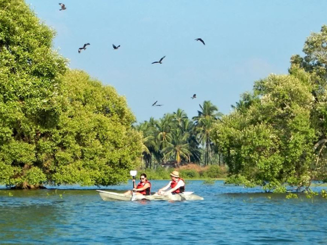 cruising-kayaking-paddle-boarding.jpg