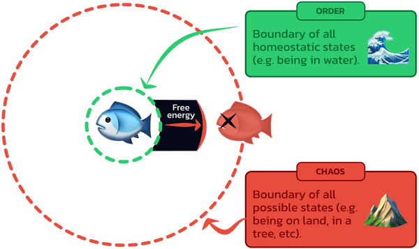 Diagram showing the fish venturing into chaos, and generating free energy