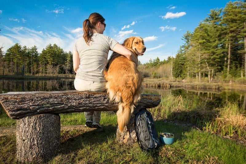 12 Best Dog Friendly Hikes in Massachusetts