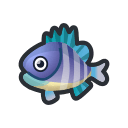 Bluegill