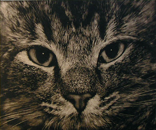 Peinture de chat