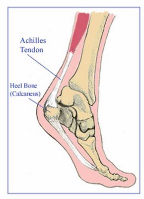 "Plantar