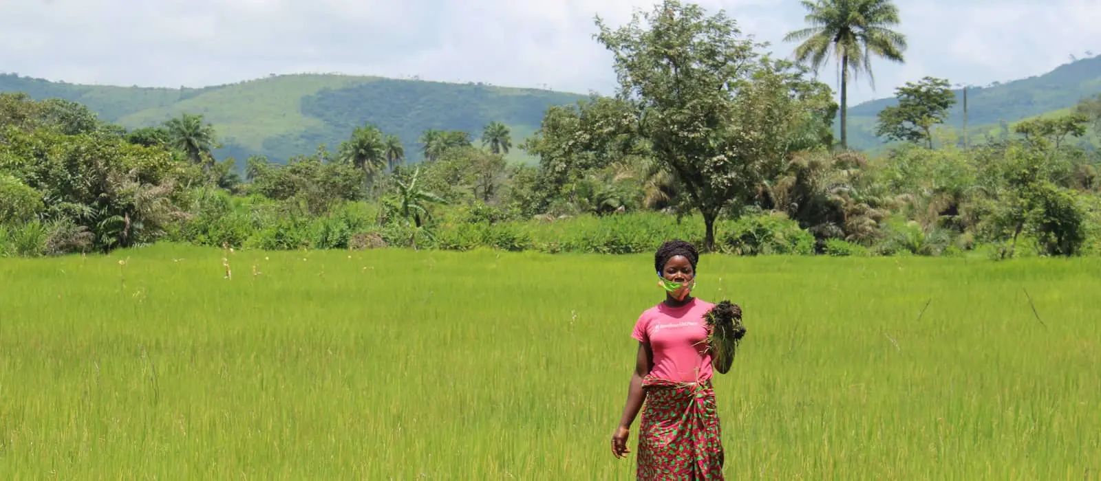 Member of the Womenís VSLA Group on their IVS rice fields in Nikikoroh, Sambaya Chiefdom, Tonkolili District.