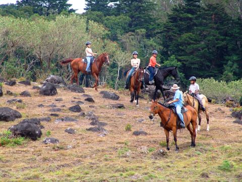 Horseback Riding  Monteverde Costa Rica