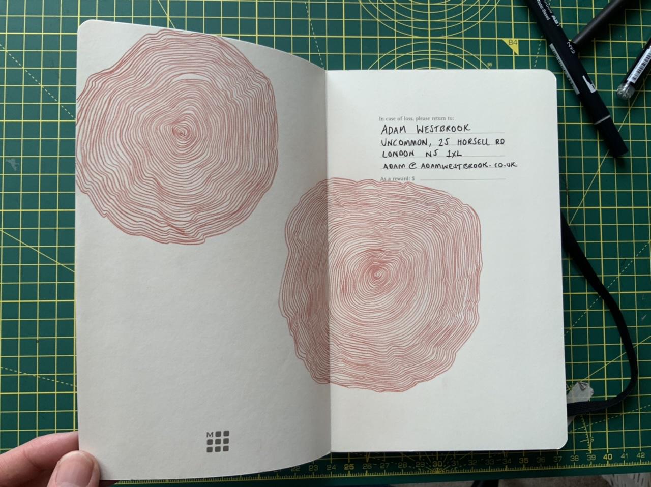A page of hand drawn spirals from Adam Westbrook&rsquo;s sketchbook