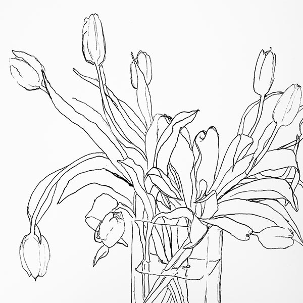 Tulips, ink on paper