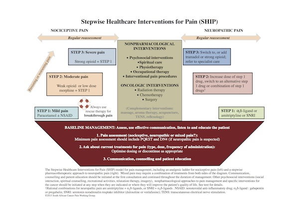 Stepwise Healthcare Interventions for Pain (SHIP)