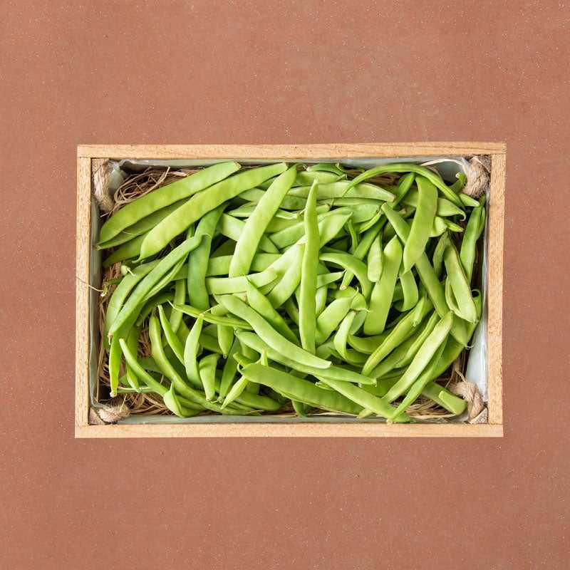 veg-box-green-beans-3kg