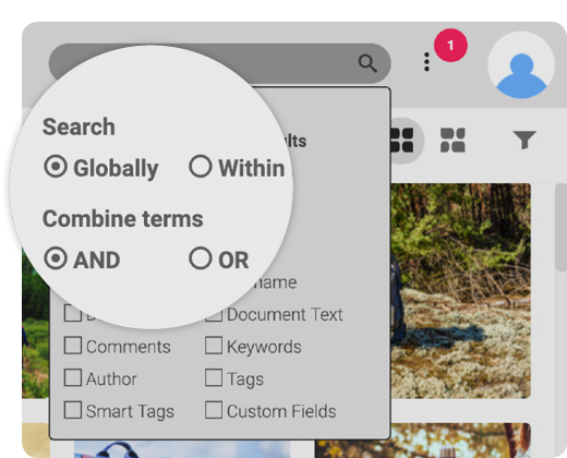 Mockup of the search functionality within Canto
