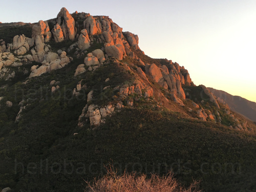 Rocky cliffs with sunset shining onto cliff face and green shrub coverage Skype background